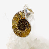 Ammonite shell pendant KPGJ3456 - Nature's Magick