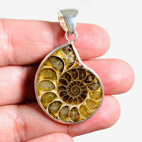 Ammonite shell pendant KPGJ3456 - Nature's Magick