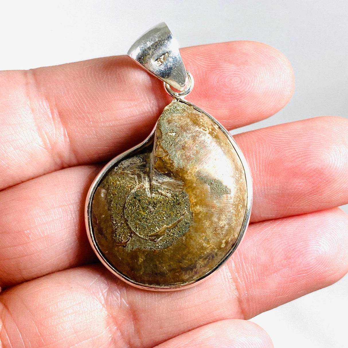 Ammonite shell pendant KPGJ3456 - Nature's Magick