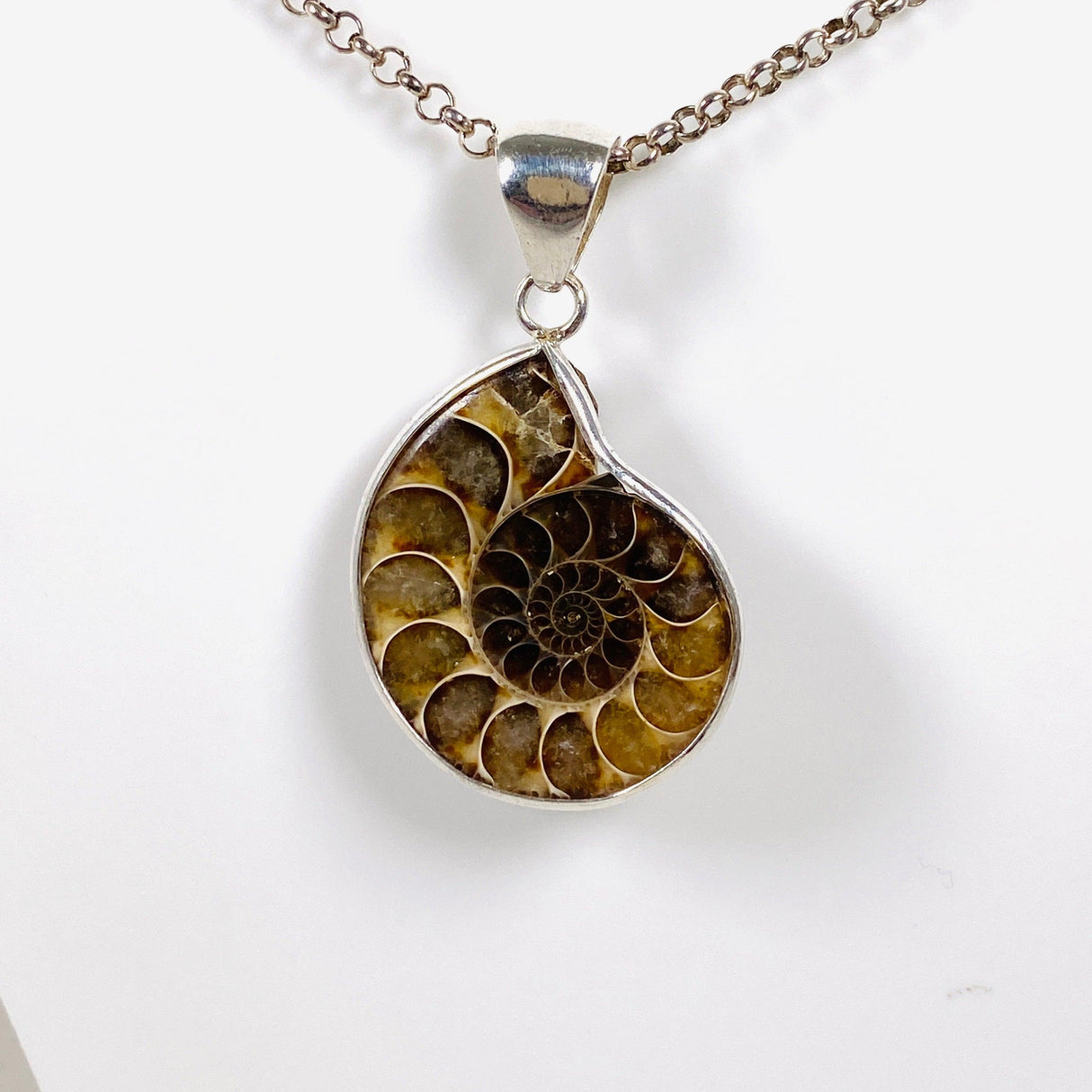 Ammonite shell pendant KPGJ3456 - Nature's Magick