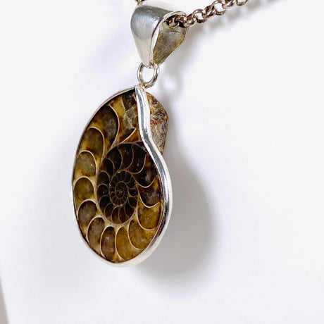 Ammonite shell pendant KPGJ3456 - Nature's Magick