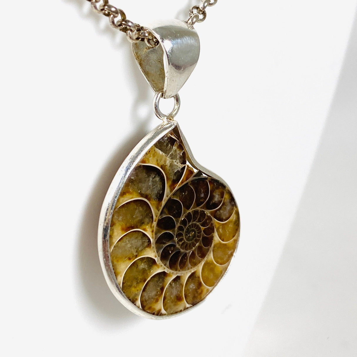 Ammonite shell pendant KPGJ3456 - Nature's Magick