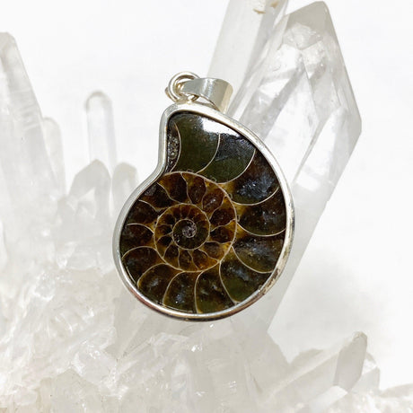 Ammonite shell pendant KPGJ4439 - Nature's Magick