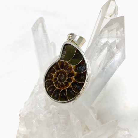 Ammonite shell pendant KPGJ4439 - Nature's Magick