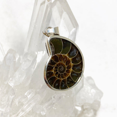 Ammonite shell pendant KPGJ4439 - Nature's Magick