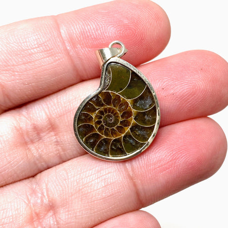 Ammonite shell pendant KPGJ4439 - Nature's Magick