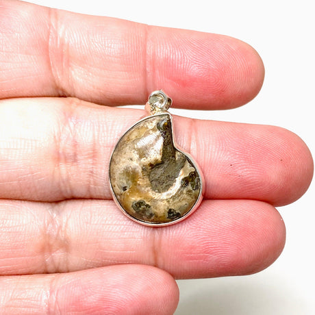 Ammonite shell pendant KPGJ4439 - Nature's Magick