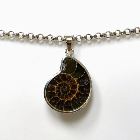 Ammonite shell pendant KPGJ4439 - Nature's Magick