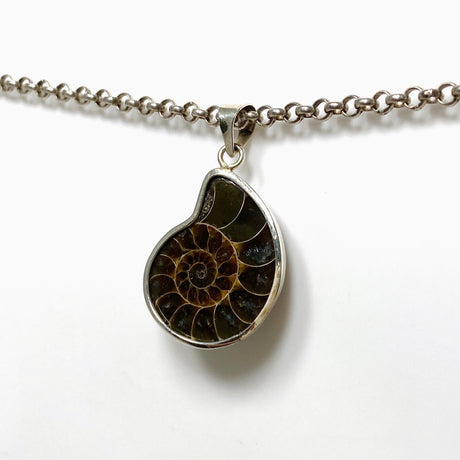 Ammonite shell pendant KPGJ4439 - Nature's Magick