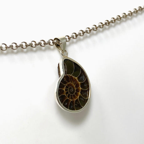 Ammonite shell pendant KPGJ4439 - Nature's Magick