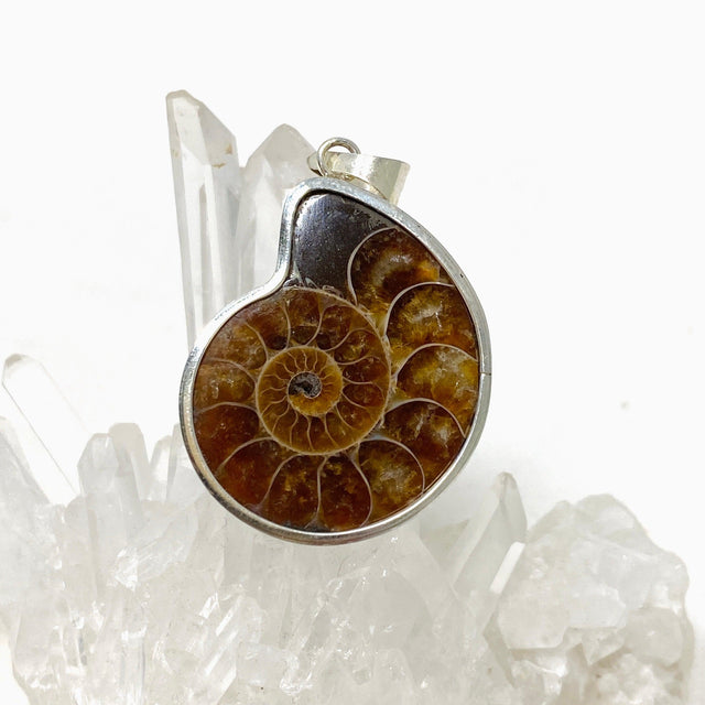 Ammonite shell pendant KPGJ4440 - Nature's Magick