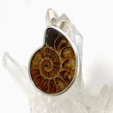 Ammonite shell pendant KPGJ4440 - Nature's Magick