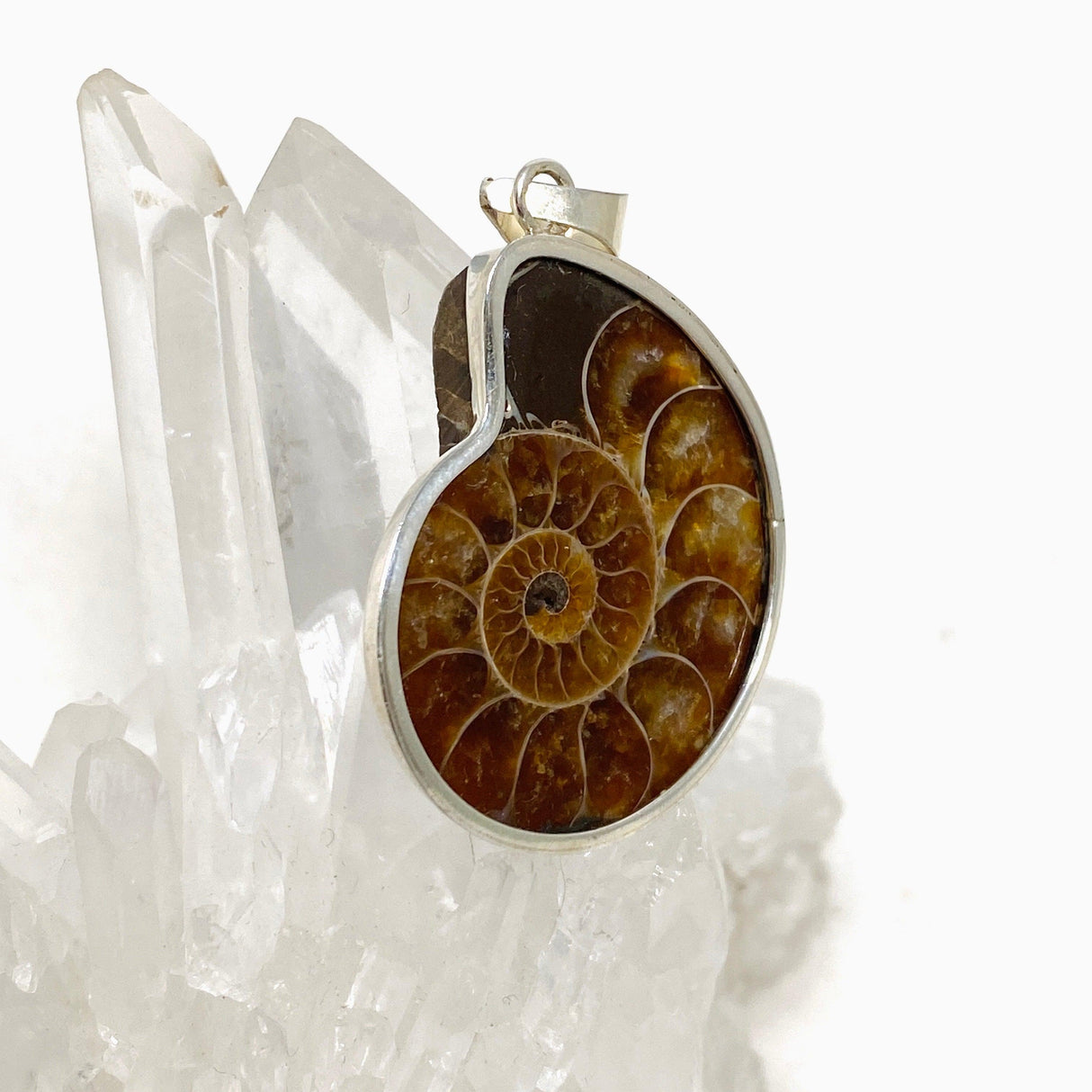 Ammonite shell pendant KPGJ4440 - Nature's Magick