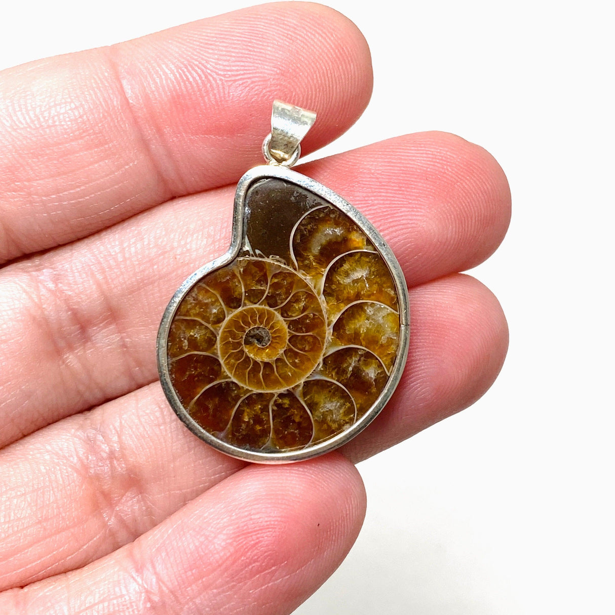 Ammonite shell pendant KPGJ4440 - Nature's Magick