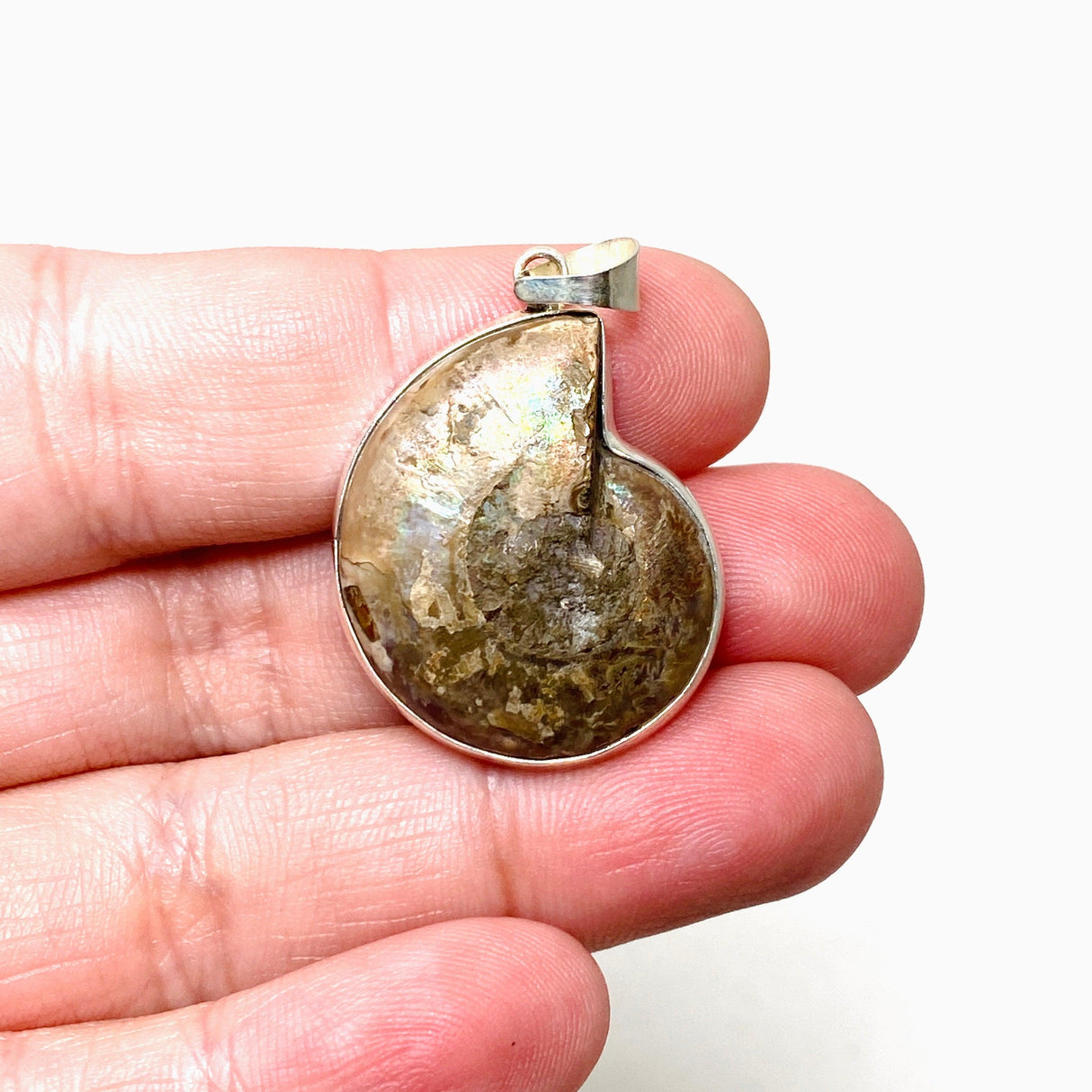 Ammonite shell pendant KPGJ4440 - Nature's Magick