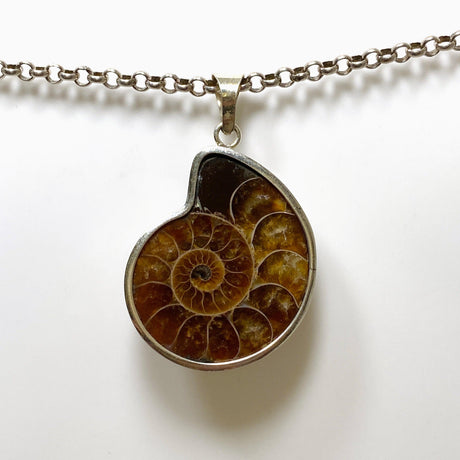 Ammonite shell pendant KPGJ4440 - Nature's Magick