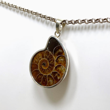 Ammonite shell pendant KPGJ4440 - Nature's Magick