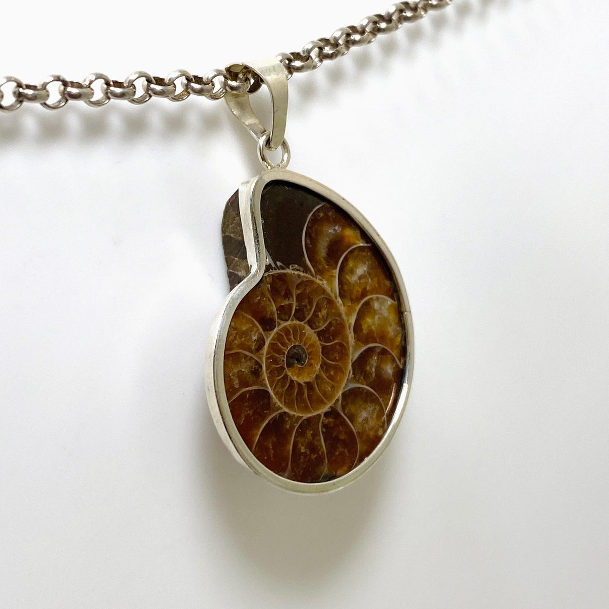 Ammonite shell pendant KPGJ4440 - Nature's Magick