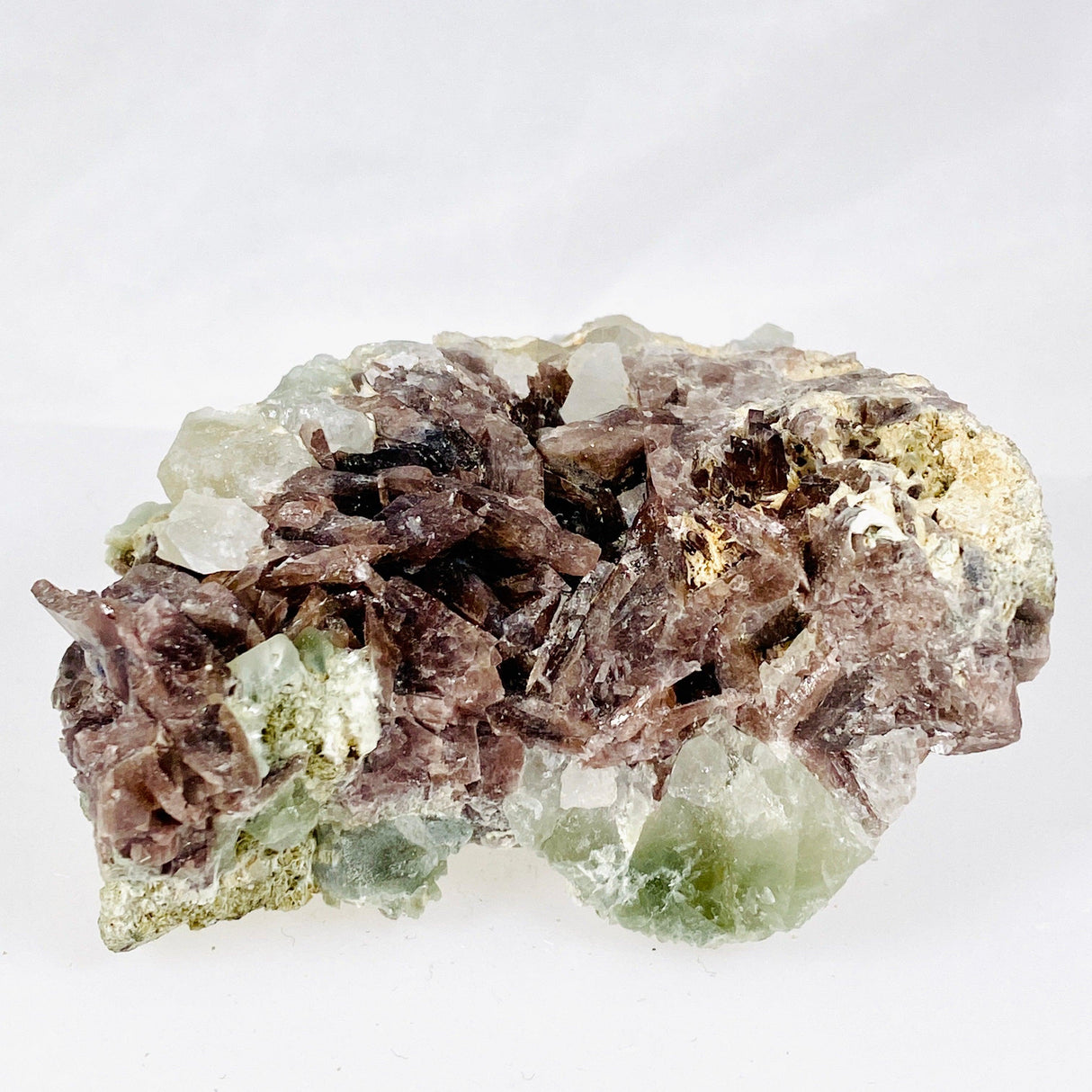 Axinite specimen AX-37 - Nature's Magick