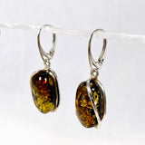 Baltic Amber earrings AMB178 - Nature's Magick