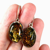 Baltic Amber earrings AMB178 - Nature's Magick
