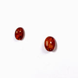 Baltic Amber oval stud earrings - Nature's Magick