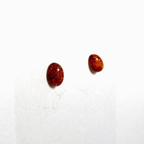 Baltic Amber oval stud earrings - Nature's Magick