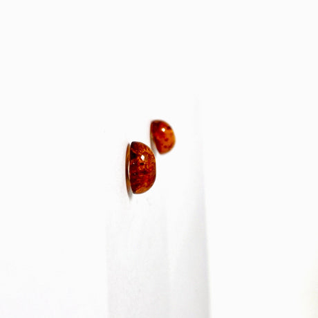 Baltic Amber oval stud earrings - Nature's Magick