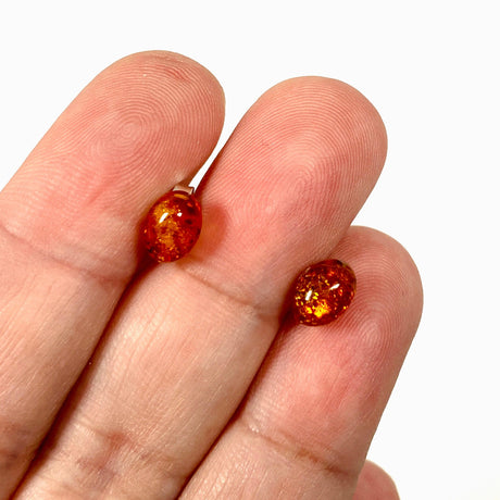 Baltic Amber oval stud earrings - Nature's Magick