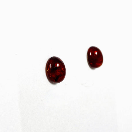 Baltic Amber oval stud earrings - Nature's Magick