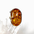 Baltic Cognac Amber adjustable ring AMB159 - Nature's Magick