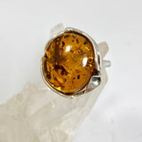 Baltic Cognac Amber Oval Cabochon Ring in a Decorative Setting Adjustable AMB326