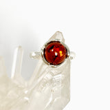 Baltic Cognac Amber Round Cabochon Decorative Ring Size 5.5 AMB324