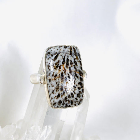 Black Coral rectangle ring s.8 KRGJ1734 - Nature's Magick