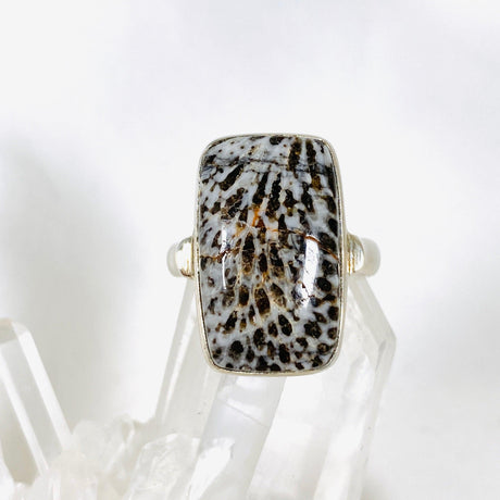 Black Coral rectangle ring s.8 KRGJ1734 - Nature's Magick