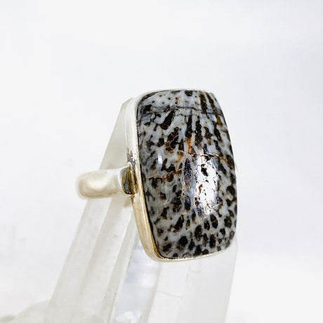 Black Coral rectangle ring s.8 KRGJ1734 - Nature's Magick