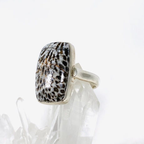 Black Coral rectangle ring s.8 KRGJ1734 - Nature's Magick