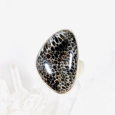 Black Fossilated Coral freeform ring s.10 KRGJ2450 - Nature's Magick