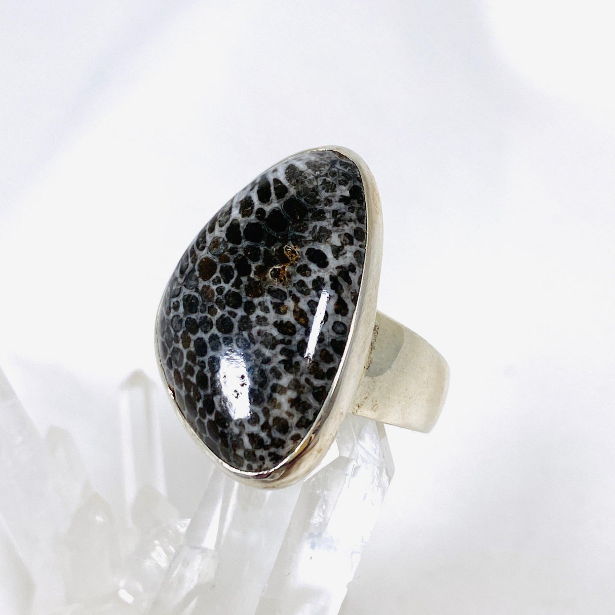 Black Fossilated Coral freeform ring s.10 KRGJ2450 - Nature's Magick