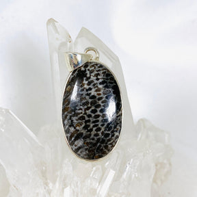 Black Fossilated Coral oval pendant KPGJ3130 - Nature's Magick