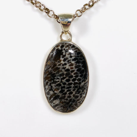 Black Fossilated Coral oval pendant KPGJ3130 - Nature's Magick