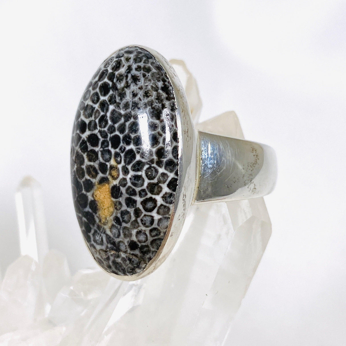 Black Fossilated Coral oval ring s.11 KRGJ2446 - Nature's Magick