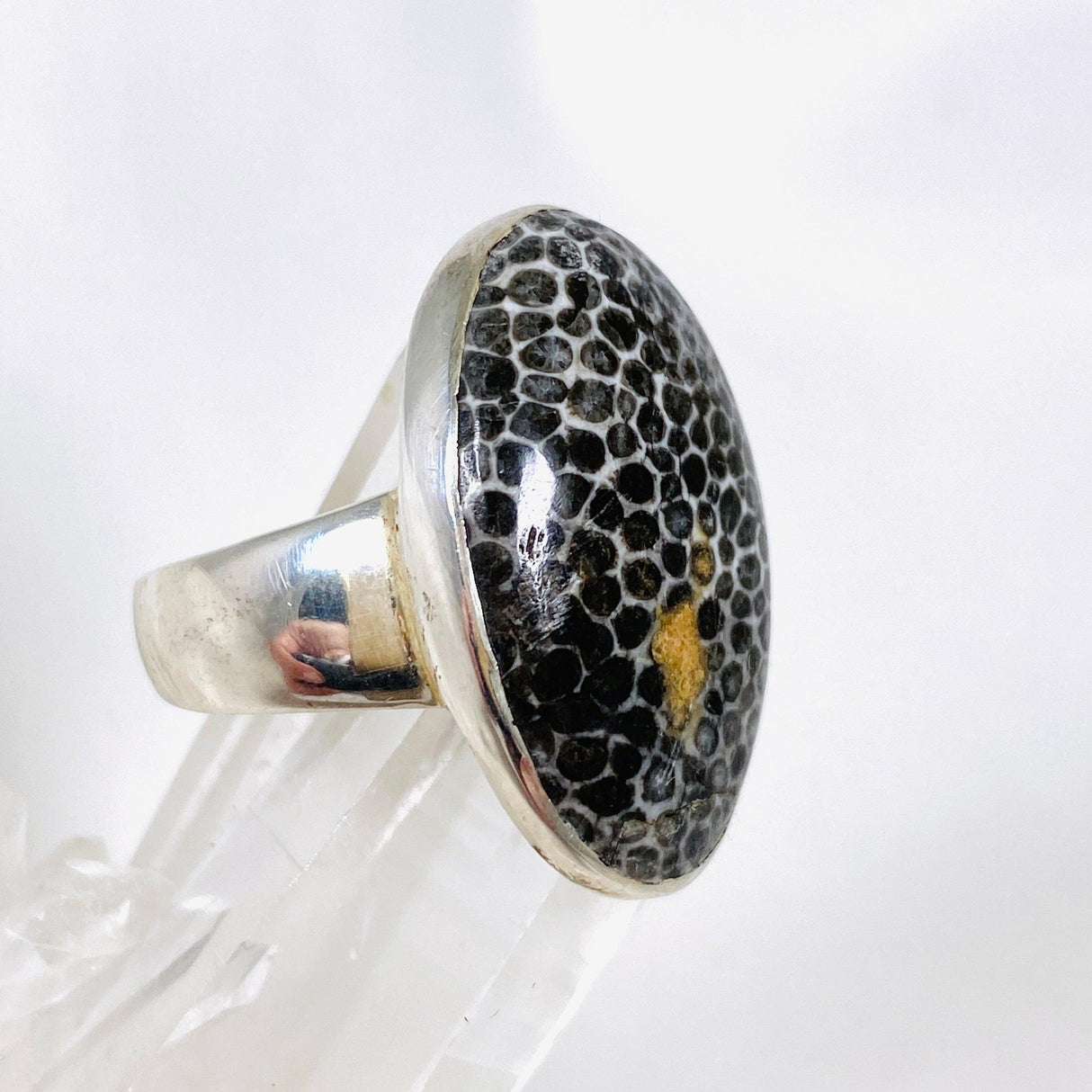 Black Fossilated Coral oval ring s.11 KRGJ2446 - Nature's Magick