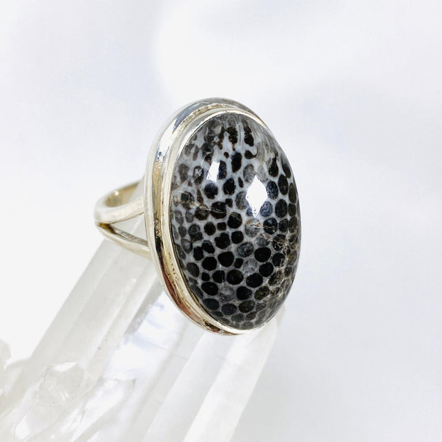 Black Fossilated Coral oval ring s.7 KRGJ2445 - Nature's Magick