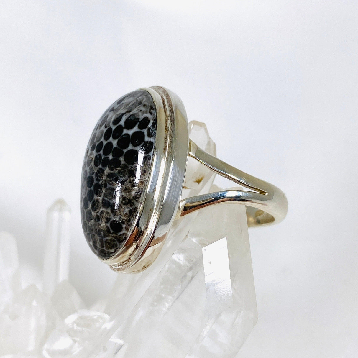 Black Fossilated Coral oval ring s.7 KRGJ2445 - Nature's Magick