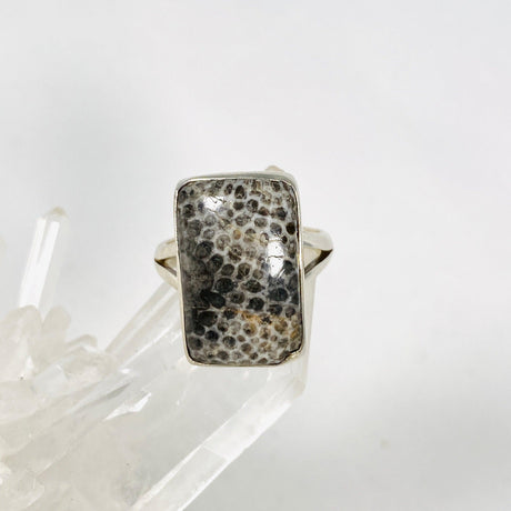 Black Fossilated Coral rectangular ring s.8 KRGJ2449 - Nature's Magick