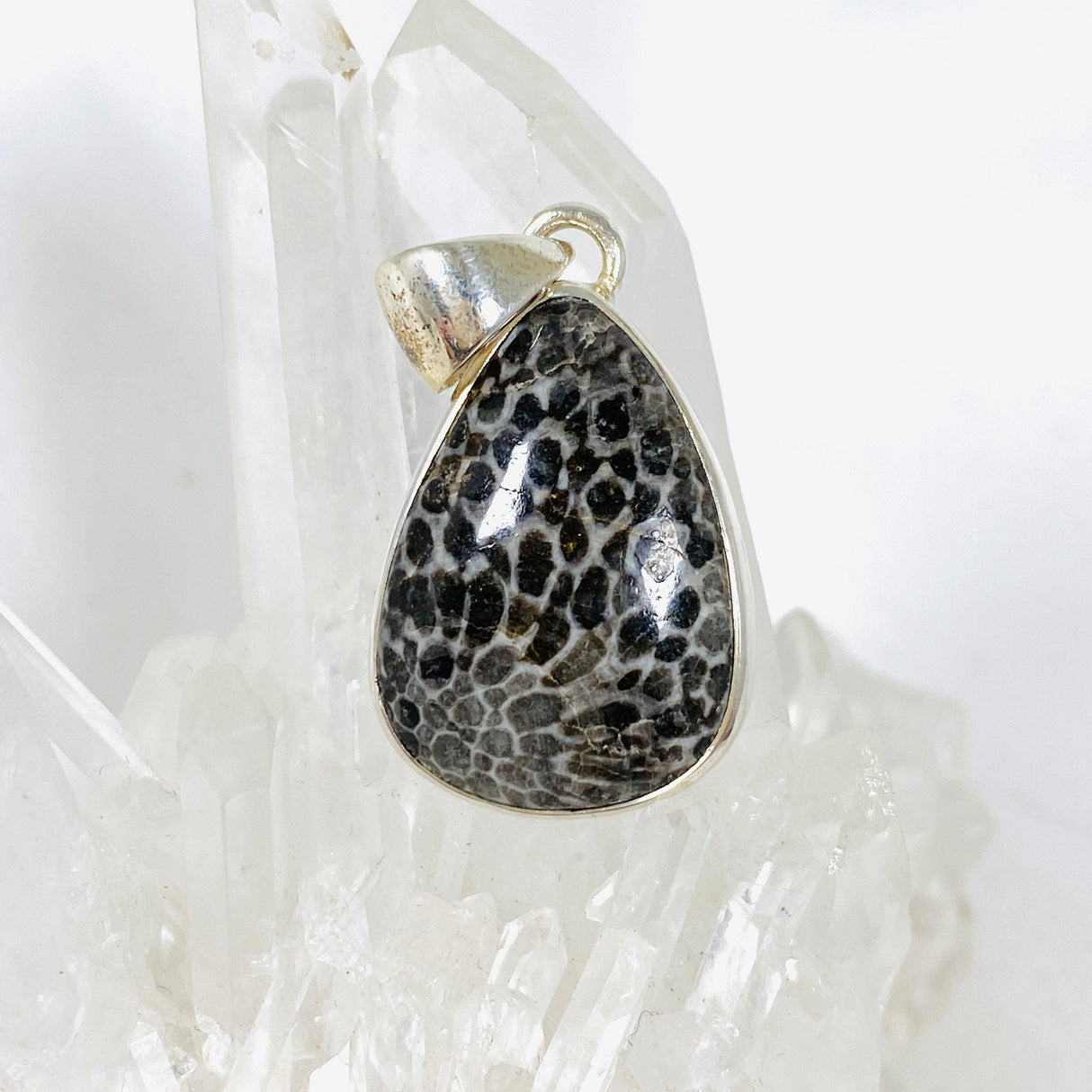 Black Fossilated Coral teardrop pendant KPGJ3127 - Nature's Magick