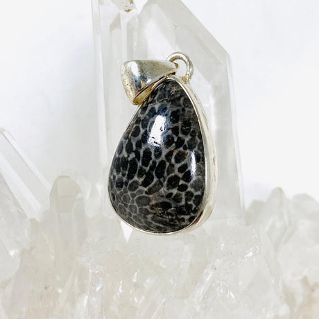 Black Fossilated Coral teardrop pendant KPGJ3127 - Nature's Magick