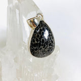 Black Fossilated Coral teardrop pendant KPGJ3127 - Nature's Magick