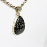 Black Fossilated Coral teardrop pendant KPGJ3127 - Nature's Magick